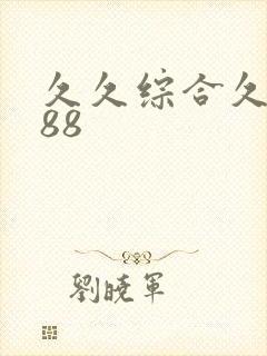 久久综合久久久88