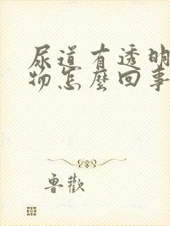 尿道有透明分泌物怎么回事封面