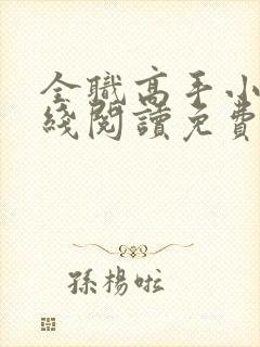 全职高手小说在线阅读免费封面