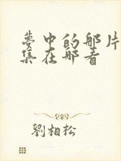 梦中的那片海全集在哪看