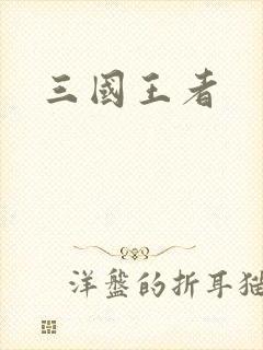 三国王者