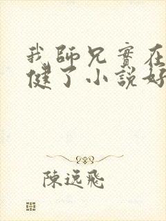 我师兄实在太稳健了小说好看么封面