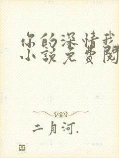 你的深情我不配小说免费阅读封面