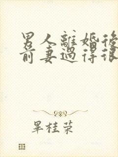 男人离婚后发现前妻过得很好封面