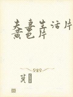 夫妻生活片一级黄色片