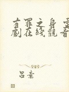 有罪之身 电视剧在线观看免费