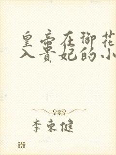 皇帝在御花园进入贵妃的小说