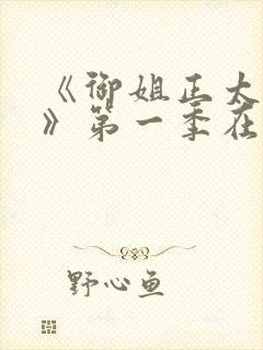 《御姐正太御姐》第一季在线看