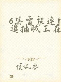 6集电视连续剧追捕贼王在线封面