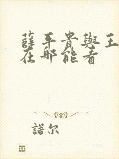 薛平贵与王宝钏在哪能看