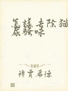 怎样去除猫咪的尿骚味