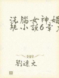 洗脑女神媚黑系统小说6章免费阅读