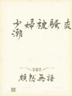 少妇被骚爽到高潮