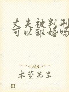 丈夫被判刑妻子可以离婚吗