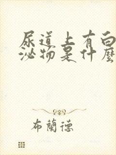 尿道上有白色分泌物是什么原因封面