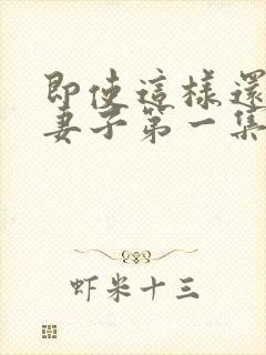 即使这样还爱着妻子第一集