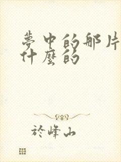 梦中的那片海讲什么的封面