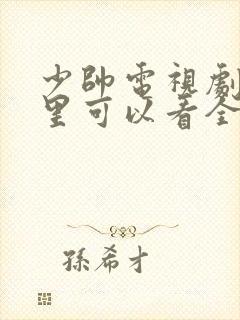 少帅电视剧在哪里可以看全集完整版