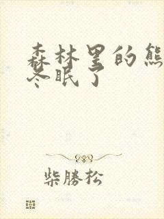 森林里的熊先生冬眠了