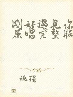 刚好遇见你歌曲原唱完整版