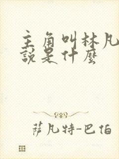 主角叫林凡的小说是什么