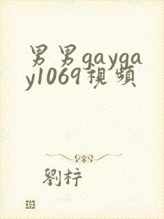 男男gaygay1069视频封面