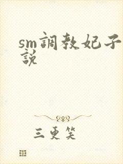 sm调教妃子小说