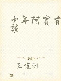 少年阿宾有声小说