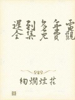 迟到多年电视剧全集免费观看封面