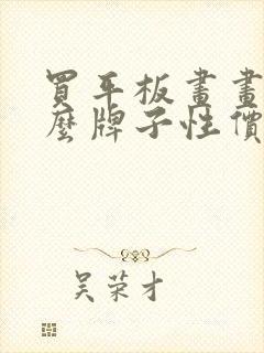 买平板画画买什么牌子性价比最高封面