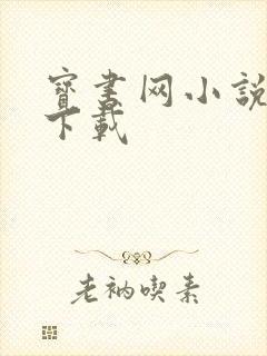 宝书网小说免费下载封面