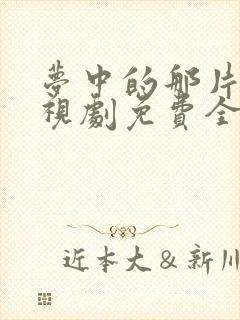 梦中的那片海电视剧免费全集