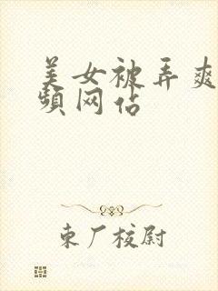 美女被弄爽了视频网站