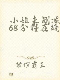 小姐未删减版168分钟在线播放封面