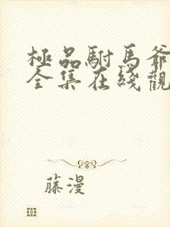 极品驸马爷短剧全集在线观看