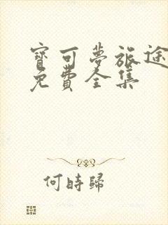 宝可梦旅途台配免费全集封面