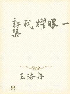 许我耀眼一共几集