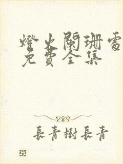 灯火阑珊处短剧免费全集封面