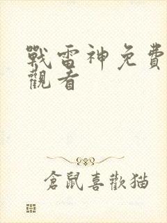 战雷神免费完整观看封面
