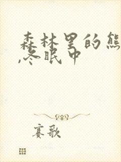 森林里的熊先生,冬眠中