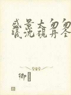 盛景太匆匆宁若曦沈砚舟全集阅读封面