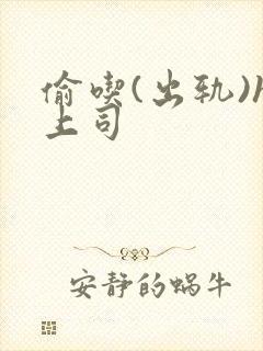 偷吃(出轨)h上司