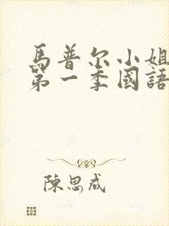 马普尔小姐探案第一季国语封面