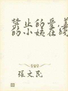 禁止的爱,善良的小姨在线观看完整版