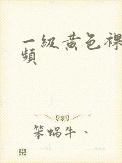 一级黄色裸体视频