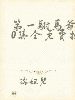 第一驸马爷100集全免费播放