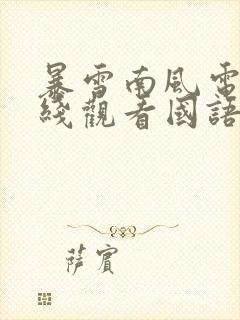 暴雪南风电影在线观看国语免费完整