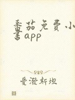 番茄免费小说听书app封面