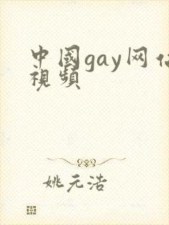 中国gay网站视频