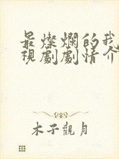 最灿烂的我们电视剧剧情介绍